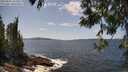 ./images/koeye/fitz-hugh/20250601/fitz-hugh20250601_141011M.jpg