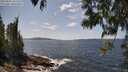 ./images/koeye/fitz-hugh/20250601/fitz-hugh20250601_141510M.jpg