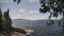 ./images/koeye/fitz-hugh/20250601/fitz-hugh20250601_142010M.jpg
