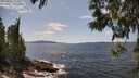 ./images/koeye/fitz-hugh/20250601/fitz-hugh20250601_142511M.jpg