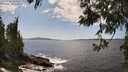 ./images/koeye/fitz-hugh/20250601/fitz-hugh20250601_144009M.jpg