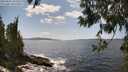 ./images/koeye/fitz-hugh/20250601/fitz-hugh20250601_145507M.jpg