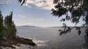 ./images/koeye/fitz-hugh/20250601/fitz-hugh20250601_150510M.jpg