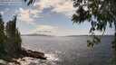 ./images/koeye/fitz-hugh/20250601/fitz-hugh20250601_152510M.jpg