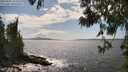 ./images/koeye/fitz-hugh/20250601/fitz-hugh20250601_153510M.jpg