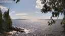 ./images/koeye/fitz-hugh/20250601/fitz-hugh20250601_160012M.jpg