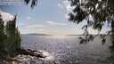 ./images/koeye/fitz-hugh/20250601/fitz-hugh20250601_160510M.jpg