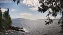 ./images/koeye/fitz-hugh/20250601/fitz-hugh20250601_162009M.jpg
