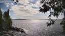 ./images/koeye/fitz-hugh/20250601/fitz-hugh20250601_163508M.jpg