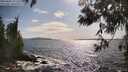 ./images/koeye/fitz-hugh/20250601/fitz-hugh20250601_171511M.jpg