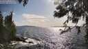 ./images/koeye/fitz-hugh/20250601/fitz-hugh20250601_172509M.jpg