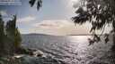 ./images/koeye/fitz-hugh/20250601/fitz-hugh20250601_174511M.jpg
