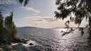 ./images/koeye/fitz-hugh/20250601/fitz-hugh20250601_175508M.jpg