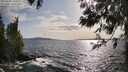 ./images/koeye/fitz-hugh/20250601/fitz-hugh20250601_180011M.jpg