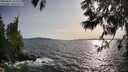 ./images/koeye/fitz-hugh/20250601/fitz-hugh20250601_183509M.jpg