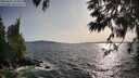 ./images/koeye/fitz-hugh/20250601/fitz-hugh20250601_184008M.jpg
