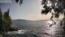 ./images/koeye/fitz-hugh/20250601/fitz-hugh20250601_184509M.jpg