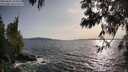 ./images/koeye/fitz-hugh/20250601/fitz-hugh20250601_185010M.jpg
