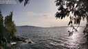 ./images/koeye/fitz-hugh/20250601/fitz-hugh20250601_191009M.jpg
