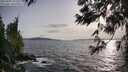 ./images/koeye/fitz-hugh/20250601/fitz-hugh20250601_192509M.jpg