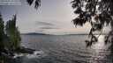 ./images/koeye/fitz-hugh/20250601/fitz-hugh20250601_193508M.jpg
