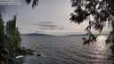 ./images/koeye/fitz-hugh/20250601/fitz-hugh20250601_194009M.jpg