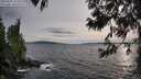 ./images/koeye/fitz-hugh/20250601/fitz-hugh20250601_194508M.jpg