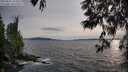 ./images/koeye/fitz-hugh/20250601/fitz-hugh20250601_195008M.jpg
