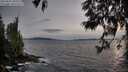 ./images/koeye/fitz-hugh/20250601/fitz-hugh20250601_200508M.jpg