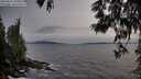 ./images/koeye/fitz-hugh/20250601/fitz-hugh20250601_204009M.jpg