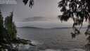./images/koeye/fitz-hugh/20250601/fitz-hugh20250601_204509M.jpg