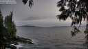 ./images/koeye/fitz-hugh/20250601/fitz-hugh20250601_205009M.jpg