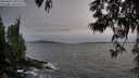 ./images/koeye/fitz-hugh/20250601/fitz-hugh20250601_205508M.jpg