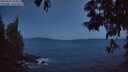 ./images/koeye/fitz-hugh/20250602/fitz-hugh20250602_043009M.jpg