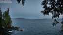 ./images/koeye/fitz-hugh/20250602/fitz-hugh20250602_050009M.jpg
