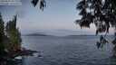 ./images/koeye/fitz-hugh/20250602/fitz-hugh20250602_051509M.jpg