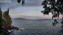 ./images/koeye/fitz-hugh/20250602/fitz-hugh20250602_052509M.jpg