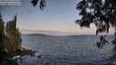 ./images/koeye/fitz-hugh/20250602/fitz-hugh20250602_054009M.jpg