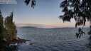 ./images/koeye/fitz-hugh/20250602/fitz-hugh20250602_054508M.jpg