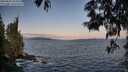 ./images/koeye/fitz-hugh/20250602/fitz-hugh20250602_055009M.jpg