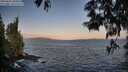 ./images/koeye/fitz-hugh/20250602/fitz-hugh20250602_060011M.jpg