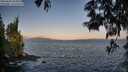 ./images/koeye/fitz-hugh/20250602/fitz-hugh20250602_061009M.jpg