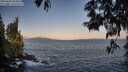 ./images/koeye/fitz-hugh/20250602/fitz-hugh20250602_062010M.jpg