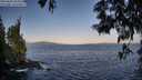./images/koeye/fitz-hugh/20250602/fitz-hugh20250602_064510M.jpg