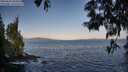 ./images/koeye/fitz-hugh/20250602/fitz-hugh20250602_065009M.jpg
