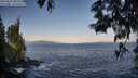 ./images/koeye/fitz-hugh/20250602/fitz-hugh20250602_065510M.jpg