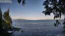 ./images/koeye/fitz-hugh/20250602/fitz-hugh20250602_070011M.jpg