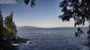 ./images/koeye/fitz-hugh/20250602/fitz-hugh20250602_070510M.jpg