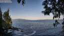 ./images/koeye/fitz-hugh/20250602/fitz-hugh20250602_071010M.jpg
