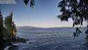 ./images/koeye/fitz-hugh/20250602/fitz-hugh20250602_071509M.jpg